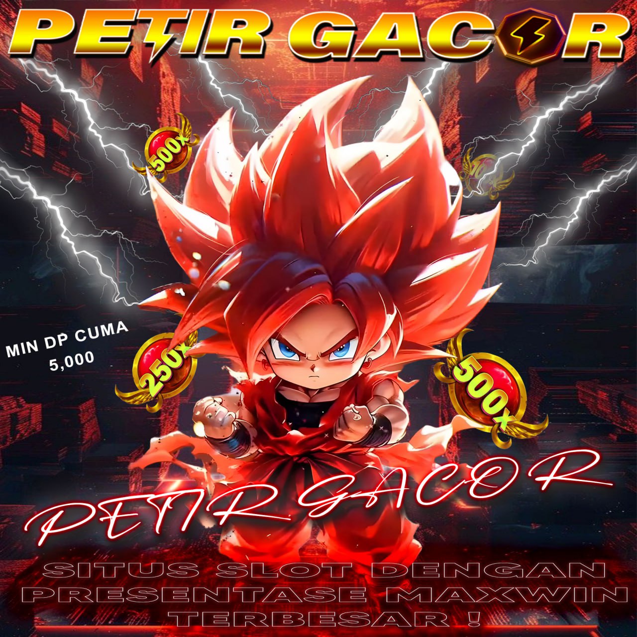 PETIRGACOR